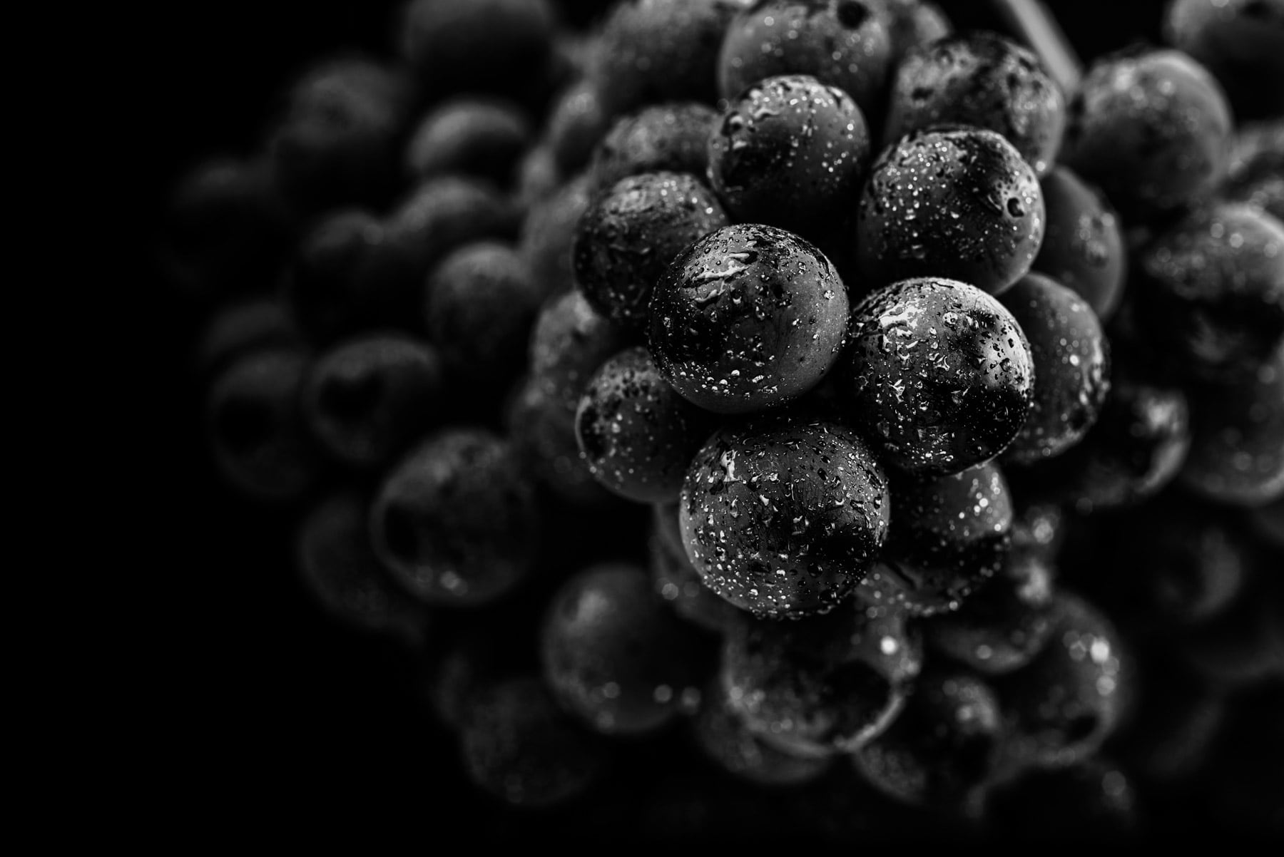 black and white image of grapes