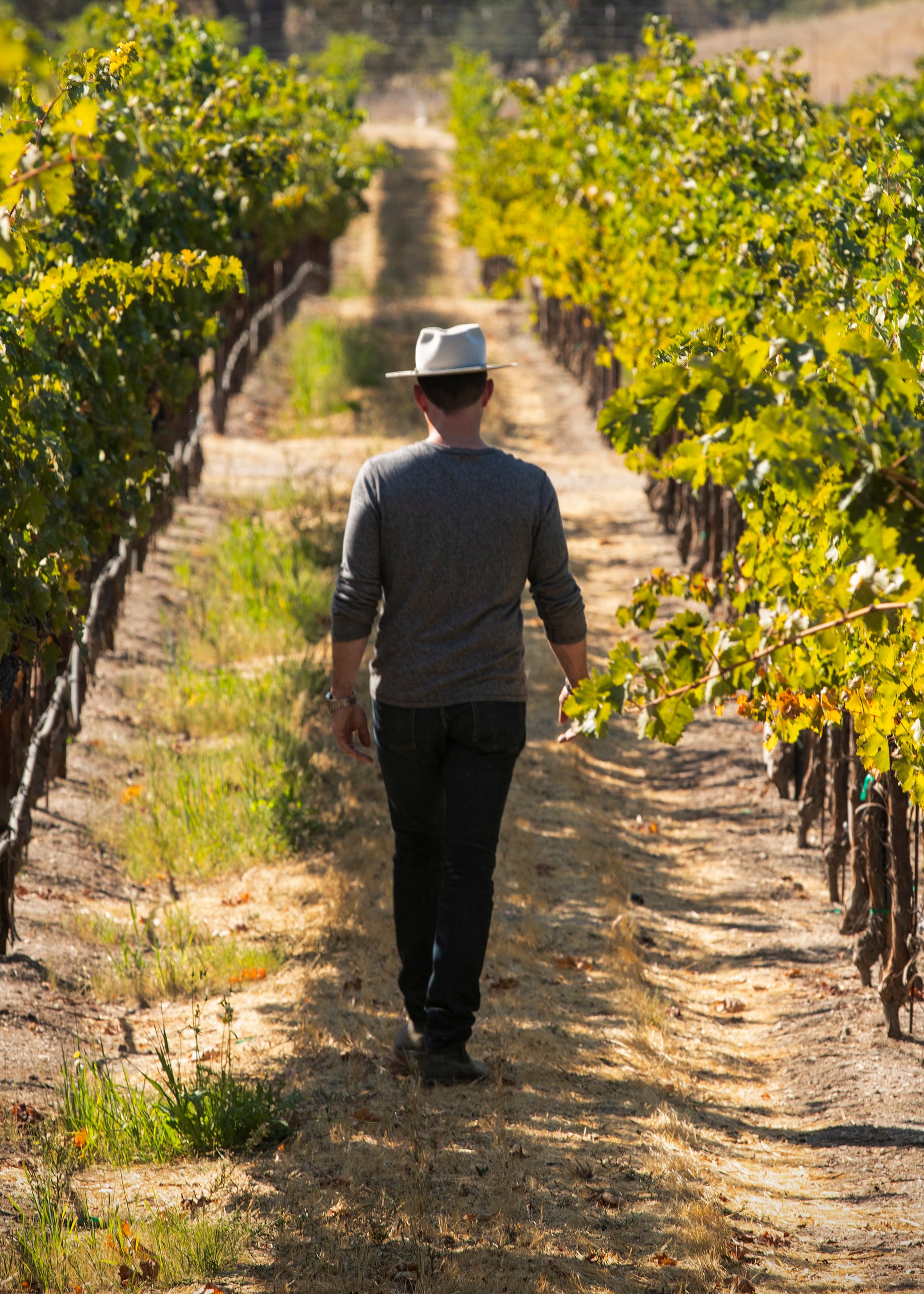 Austin walking through vineyards